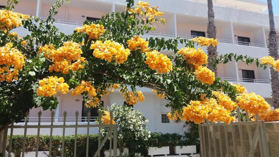 Kardamena Holiday Apartments Екстериор снимка