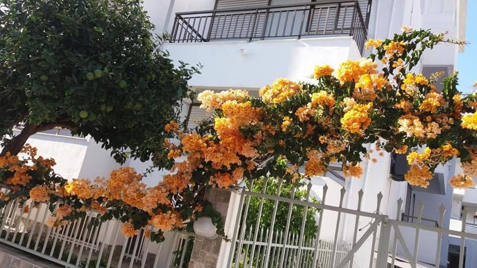 Kardamena Holiday Apartments Екстериор снимка